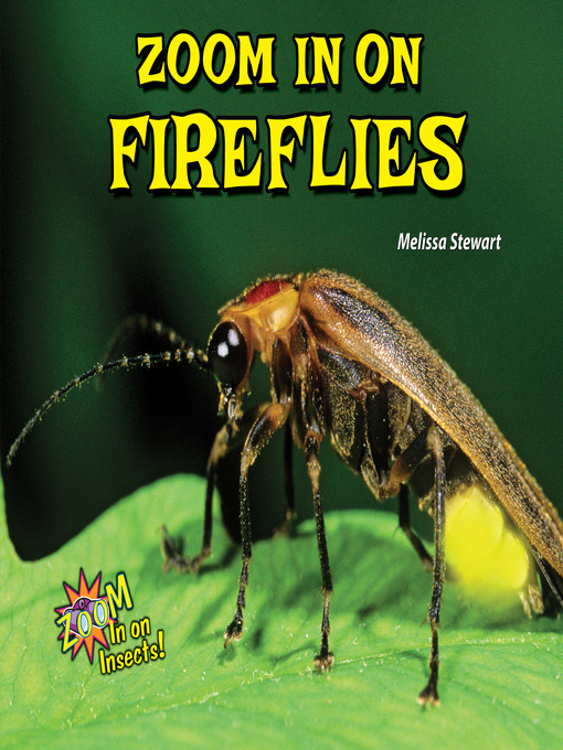 Title details for Zoom In on Fireflies by Melissa Stewart - Available